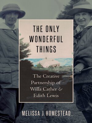 cover image of The Only Wonderful Things